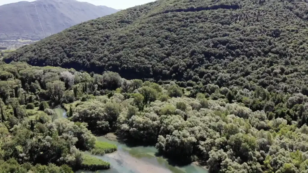 Vista aerea del bosco igrofilo lungo il fiume Volturno nell'Oasi WWF Le Mortine, Venafro